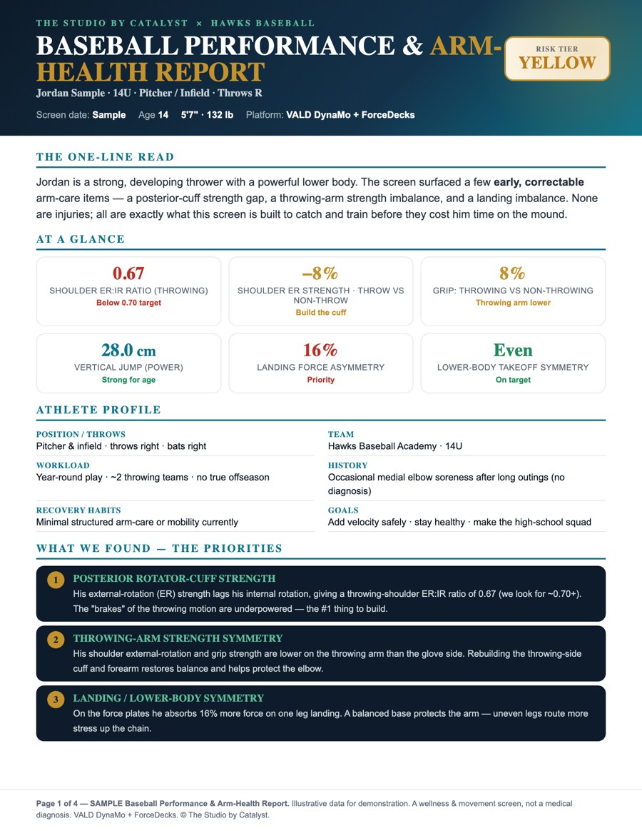 Sample baseball performance & arm-health report